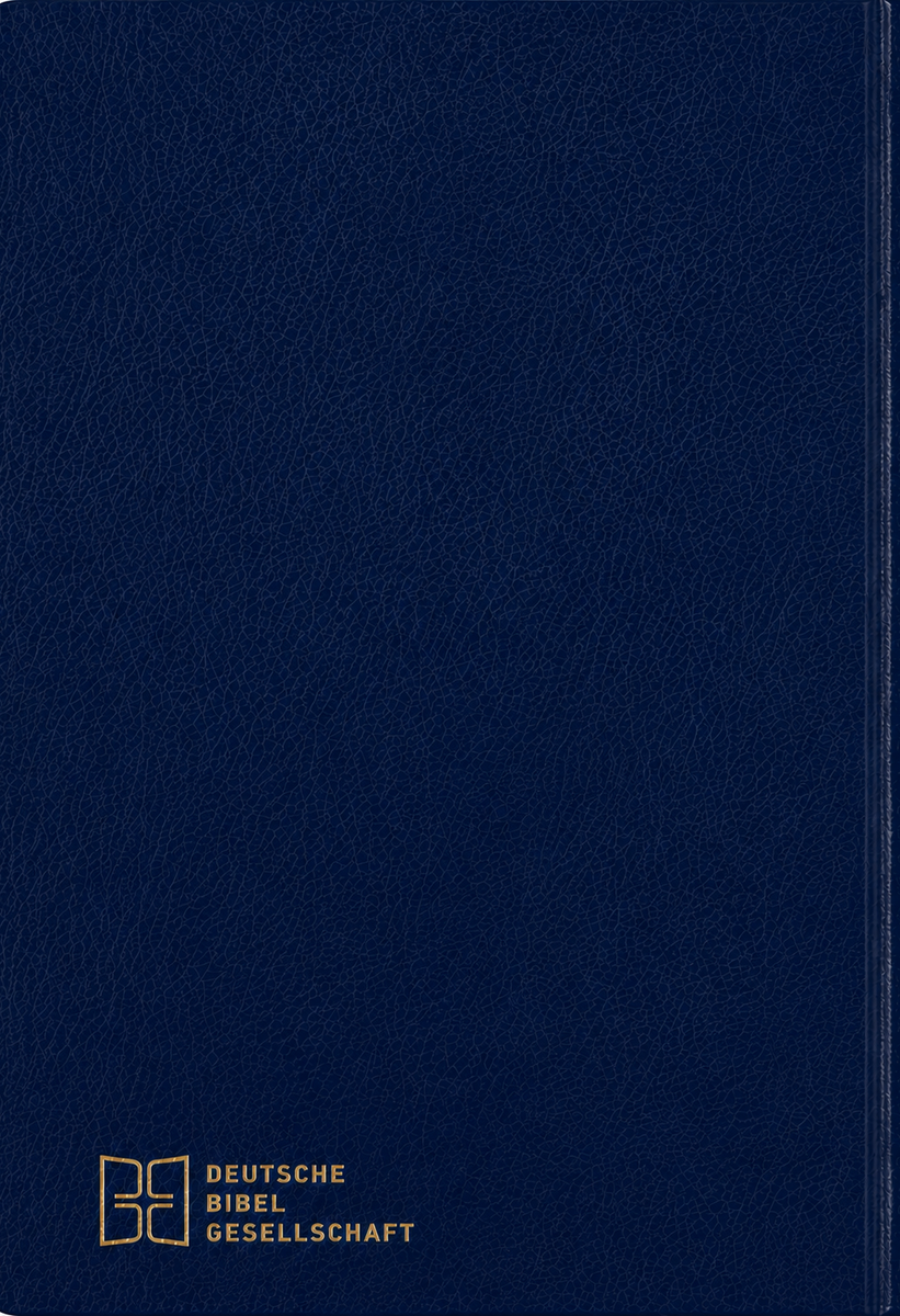 Novum Testamentum Graece: Nestle-Aland, 28th Greek Edition