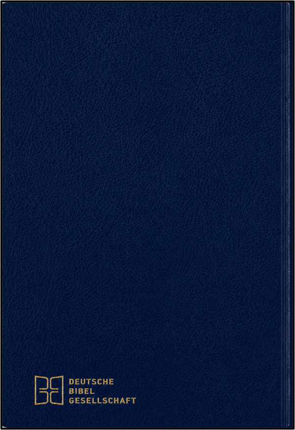 Novum Testamentum Graece: Nestle-Aland, 28th Greek Edition