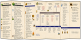 Casket Empty Old Testament Timeline: God's Plan of Redemption through History