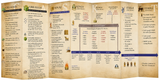 Casket Empty Old Testament Timeline: God's Plan of Redemption through History