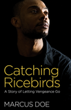 Catching Ricebirds: A Story of Letting Vengeance Go
